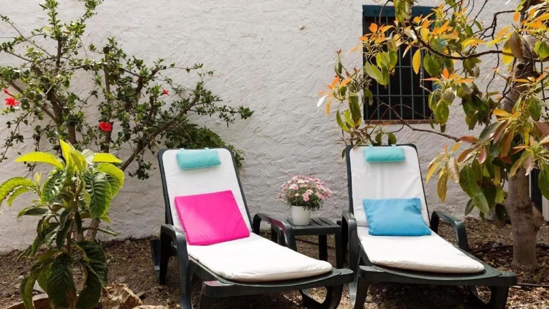 Ferienhaus In El Borge Mit Garten, Grill Und Terrasse