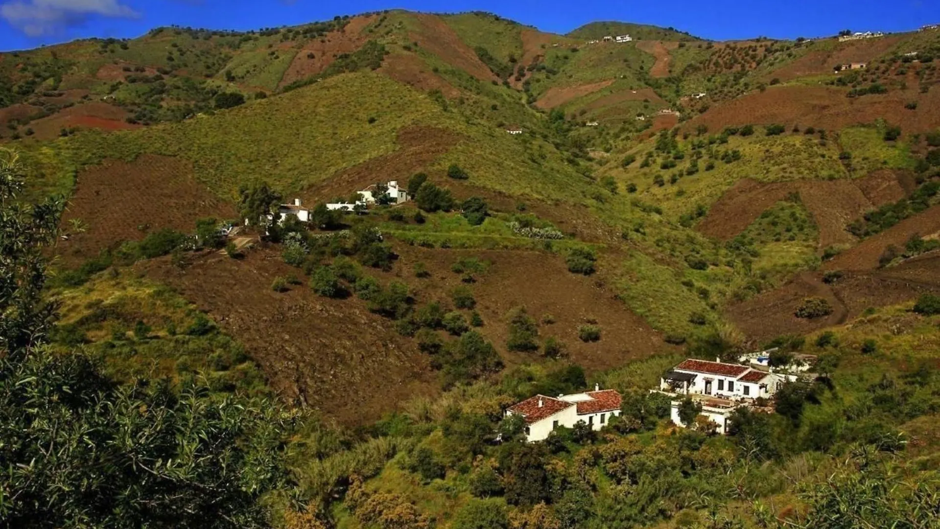 Ferienhaus In El Borge Mit Garten, Grill Und Terrasse Spain
